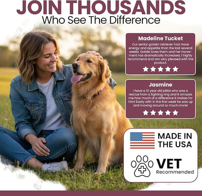 Senior Dog Vitamins and Supplements - 60 Soft Chew Multivitamin for Dogs | Hip and Joint Support, Advanced Formula with Glucosamine, Omega 3, 6, 9, Vitamins, & Probiotics
