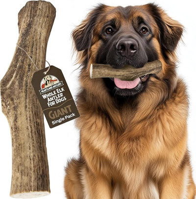 Heartland Elk Antlers for Dogs - Daily Dental Care Chews for Aggressive Chewers to Reduce Plaque & Prevent Destructive Behavior (Splinter Free, Whole, 9", Giant, 1-Pack, Grade A, USA Made)
