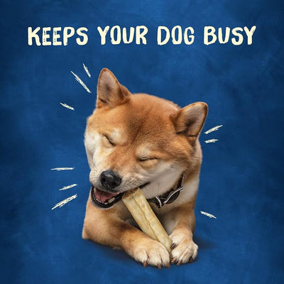 Purina Busy Rawhide Small/Medium Breed Dog Bones, Rollhide - 9 ct. Pouch
