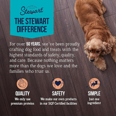 Stewart 100% Wild Salmon Dog Treats, 9.5 oz Tub, ~190 Pieces, Freeze Dried Raw, Ingredient, 65% Protein Training Treats or Meal Topper, Grain Free, Gluten Free (Pack of 2)