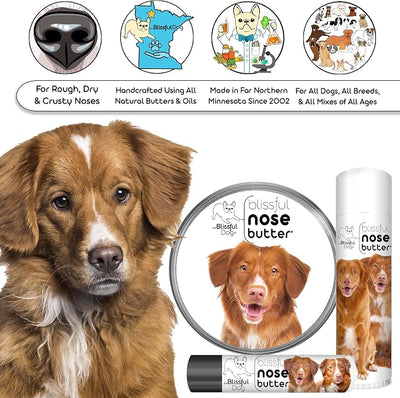 The Blissful Dog Nova Scotia Duck Tolling Retriever Unscented Nose Butter - Dog Nose Butter, 4 Ounce