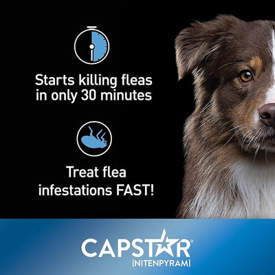 Capstar for Dogs (nitenpyram), Fast-Acting Oral Flea Treatment for Dogs Over 25+ lbs, Vet-Recommended Flea Medication Tablets Start Killing in 30 Minutes, 6 Doses
