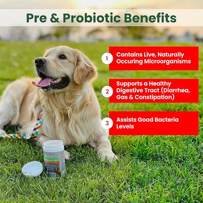 PawMedica Dog Probiotics and Digestive Enzymes, Probiotics for Dogs Made in USA, Pet Probiotic Chews for Dogs, Prebiotics & Probiotic Dog Digestive Support, Probiotic Treats - 120 Dog Probiotic Chews