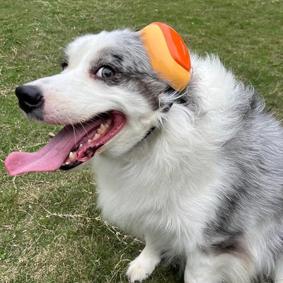derYEP Dog Earmuffs GEN2 For Hearing Protection 30dB NRR ear muffs noise protection (Small, Energetic Tangerine)