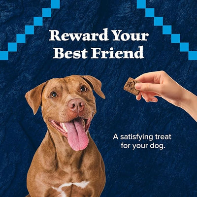Blue Buffalo Wilderness Trail Treats High Protein Grain Free Dog Biscuits Crunchy Dog Treats, Turkey Recipe, 10-oz Bag