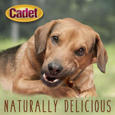 Cadet Gourmet Sweet Potato & Chicken Dog Treats Wraps - Healthy & Natural Chicken & Sweet Potato Dog Training Treats for Small & Large Breeds - Inspected & Tested in USA (14 oz.)