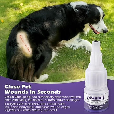 1 Pack 3ml Veterinary Surgical Skin Glue with 10 Applicators, Strong Surgical Adhesive, Blue-Tinted Fast-Acting Tissue Wound Glue, Up to 30 Applications, Ideal for Multi-Pet Households