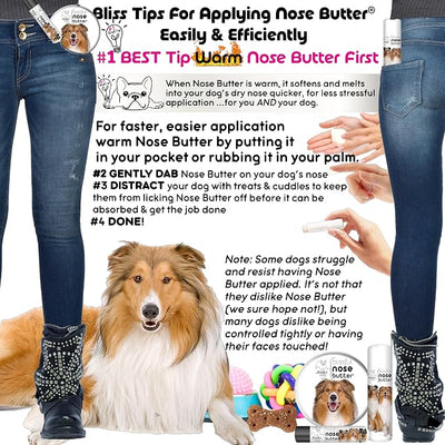 The Blissful Dog Collie Nose Butter for Dry, Cracked Skin, Lick-Safe Dog Nose Balm with Moisturizing Shea Butter, Almond, Olive, and Essential Oils, Pet Supplies, Uncented, 1 oz.