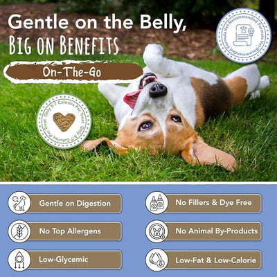Marcy's Pet Kitchen-Diabetic Dog Treats-Vet Recommend-No Preservatives - Crunchy, Superfoods, All Natural-Vegan Homemade,-Gluten Free-for Sensitive Stomachs-Made in The USA Only (On the Go Variety)