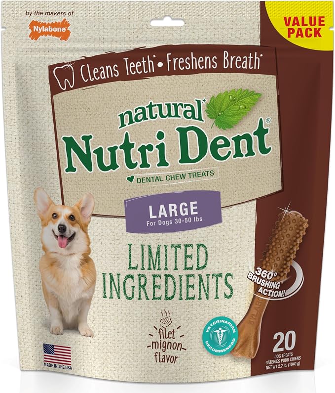 Nutri Dent Dog Dental Chews - Natural Dog Teeth Cleaning & Breath Freshener - Dental Treats for Dogs - Filet Mignon Flavor, Large (20 Count)