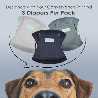 wegreeco Washable Male Dog Belly Band (Stylish Pattern)- Pack of 3 - Washable Male Dog Belly Wrap, Dog Diapers Male (Blue, Green, Champagne, Small)