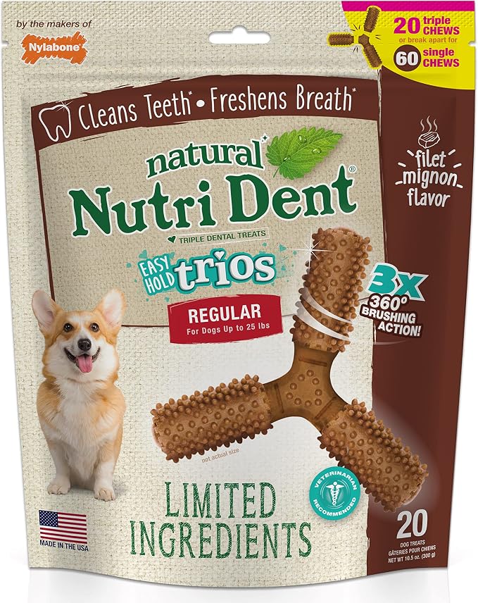 Nutri Dent Dog Dental Chews - Natural Dog Teeth Cleaning & Breath Freshener - Dental Treats for Dogs - Filet Mignon Flavor, Small (1 Count)
