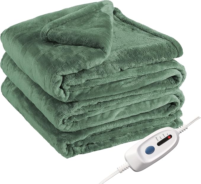 Eydna Electric Heated Blanket Queen Size 84"x90", Soft Plush Microplush for Bed, Dual Controllers & Heating Zones, 10Hs Auto Off & 4 Heating Levels, Machine Washable, Gifts for Womens-Sage Green