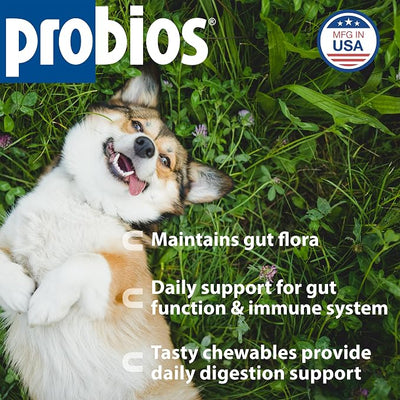 Probios Digestive Support Chewables for Dogs, Daily Probiotic Supplement with Digestive Enzymes and Prebiotics for Gut Health and Immune Support, 1 lb (Pack of 2)
