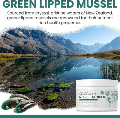 Green Lipped Mussel for Dogs - 6 oz of Green Lipped Mussel Powder for Dogs - Good for Joint and Ligament Health - Made in the USA