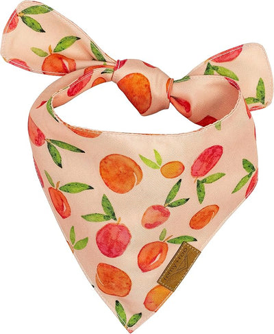 Remy+Roo Extra Large Spring Dog Bandanas - 4 Pack Katherine Set | Premium Durable Adjustable Polyester Fabric Dog Scarfs | Patented Shape Girl Dog Bandana, Trendy Patterns, Floral Dog Bandana