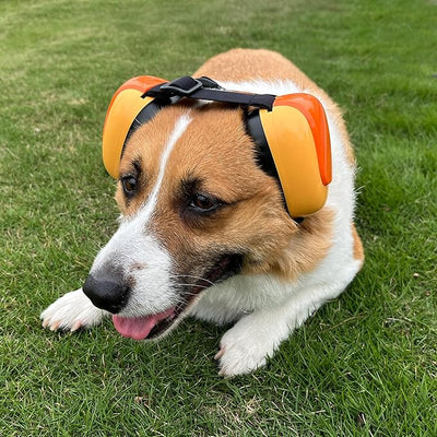derYEP Dog Earmuffs GEN2 for Hearing Protection 30dB NRR Ear Muffs Noise Protection (Large, Nocturne Grey)