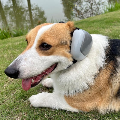derYEP Dog Earmuffs GEN2 For Hearing Protection 30dB NRR ear muffs noise protection (Medium, Energetic Tangerine)