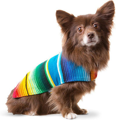Dog Clothes - Handmade Dog Poncho from Authentic Mexican Blanket by Baja Ponchos (Blue, Small)