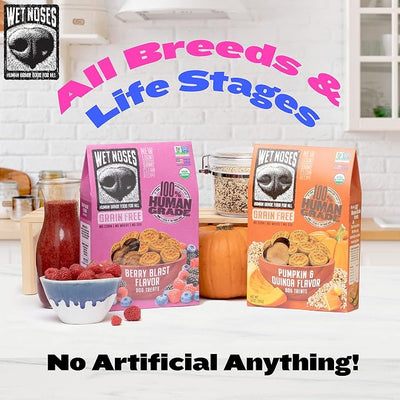 Wet Noses Organic Crunchy Dog Treats – All-Natural, Human-Grade, Non-GMO, Healthy Training & Delicious Snacks for Dogs, All Dog Sizes & Breeds – Grain Free Peanut Butter & Molasses, 14oz (Single Pack)