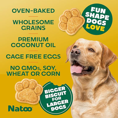 NATOO Healthy Treats for Large Dogs, Coconut & Mango Flavor, 8 oz | Crunchy Biscuits, Rich in Omega 6, Prebiotics & Fiber, Antioxidants for Immunity, Natural Dog Treats