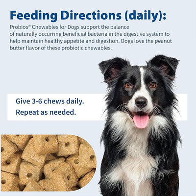 Probios Digestive Support Chewables for Dogs, Daily Probiotic Supplement with Digestive Enzymes and Prebiotics for Gut Health and Immune Support, 1 lb (Pack of 2)