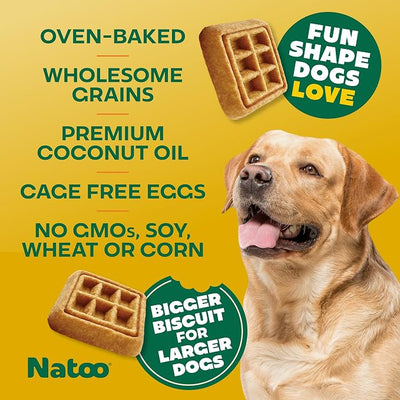 NATOO Dog Treats for Large Breed, Oats Banana and Honey, 8oz | Crunchy Biscuits, Rich in Omega 6, Prebiotics and Fiber, Antioxidants for Immunity, Natural