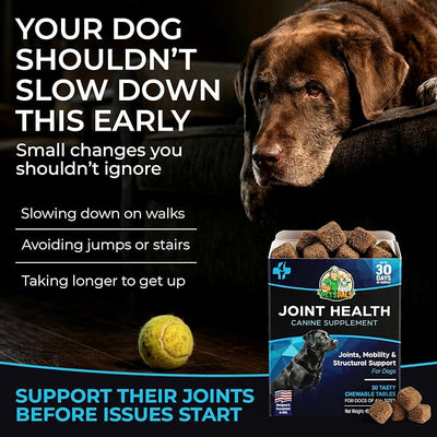 PET'S PALS Dogs Joint Health Supplement - Glucosamine, Chondroitin & MSM - Supports Healthy Joints - Chewable Tablets for Dogs - 30 Soft Chews