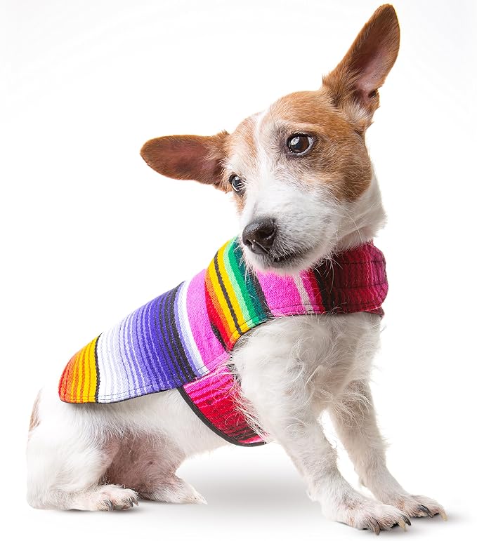 Dog Clothes - Handmade Dog Poncho from Authentic Mexican Blanket by Baja Ponchos (Pink, Small)
