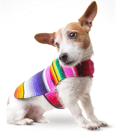 Dog Clothes - Handmade Dog Poncho from Authentic Mexican Blanket by Baja Ponchos (Pink, Small)