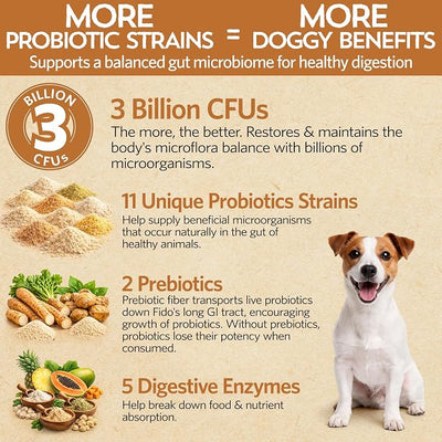 Fidobiotics Good Guts Probiotics for Dogs – Dog Probiotic Powder for Digestive Health, Gas Relief & Firmer Stools, 3B CFUs, Enzymes & Prebiotics, Small Dogs, Puppies & Adults - Pack of 2