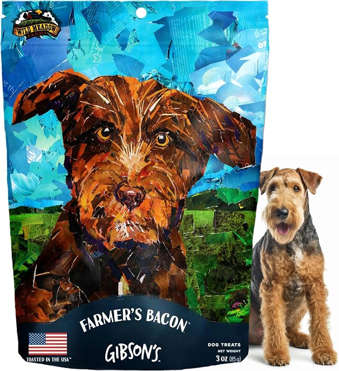 Gibson's Farmers Bacon, Soft Jerky Dog Treats, Crafted with Real Meat, Aromatic, and Grain-Free for Training and Rewarding Dogs of All Breeds and Ages - 3 Ounce Pouch