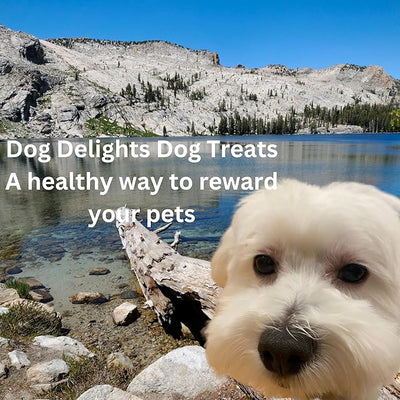 Chewy Ducks Sticks by Dog Delights