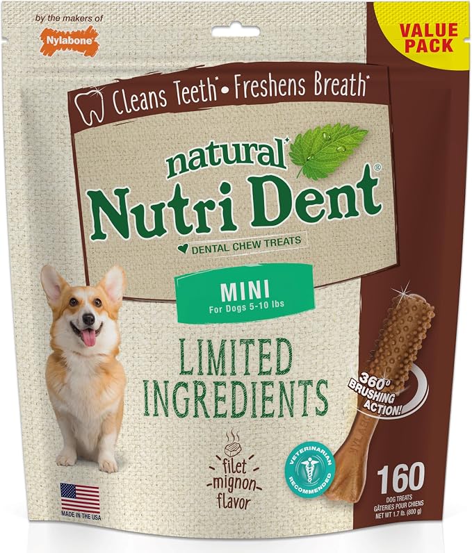 Nutri Dent Dog Dental Chews - Natural Dog Teeth Cleaning & Breath Freshener - Dental Treats for Dogs - Filet Mignon Flavor, Mini (160 Count)