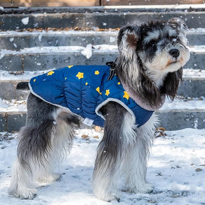CuteBone Waterproof Thick Dog Winter Coat Doggie Jacket, Warm Pet Clothes Comfortable Puffer Dog Vest for Small Medium Large Dogs with Harness Hole YRFN21M