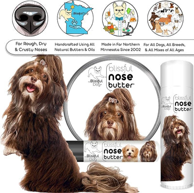 The Blissful Dog Havanese Unscented Nose Butter - Dog Nose Butter, 1 Ounce