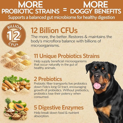 Fidobiotics Good Guts Probiotics for Dogs – Dog Probiotic Powder for Digestive Health, Gas Relief & Firmer Stools, 12B CFUs, Enzymes & Prebiotics, Large Dogs, Puppies & Adults, Pack of 2