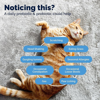 Vetnique Glandex Cat Probiotic Powder, Daily Probiotics for Cats & Kittens with 5 Strains, Prebiotics & Digestive Enzyme for Cat Gut, Immune Health & Sensitive Stomach (4oz, Probiotic Powder - Tuna)