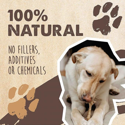 Mighty Paw 100% Natural Unbleached Cow Ears for Dogs - Single Ingredient - Cows Ears for Dogs Chew Treats Suitable for Small, Medium & Large Breeds - Pet Chews (12 Pack)