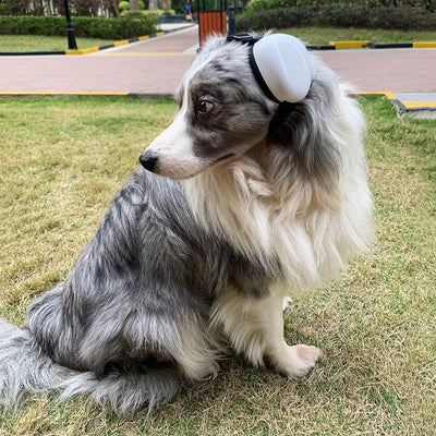 derYEP Dog Earmuffs for Hearing Protection 29dB NRR Ear Muffs Noise Protection (Medium, White)