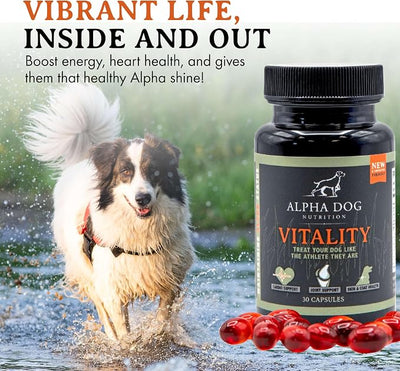 Krill Oil for Dogs - Vitality by Alpha Dog Nutrition – Reduces Dog Allergies, Itchiness, & Shedding – Promotes Healthy Skin and Coat