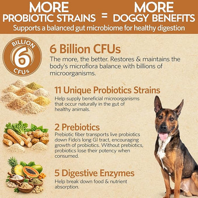 Fidobiotics Good Guts Probiotics for Dogs – Dog Probiotic Powder for Digestive Health, Gas Relief & Firmer Stools, 6B CFUs, Enzymes & Prebiotics, Medium Dogs, Puppies & Adults