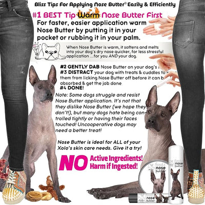 The Blissful Dog Xoloitzcuintli Nose Butter for Dry, Cracked Skin, Lick-Safe Dog Nose Balm with Moisturizing Shea Butter, Almond, Olive, and Essential Oils, Pet Supplies, Uncented, 1 oz.