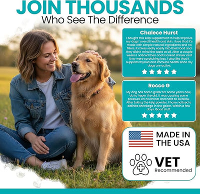 Sea Kelp Powder for Dogs - Dental, Plaque, Skin & Coat, Thyroid - Chew + Heal Labs Iodine-Rich 4 oz Kelp Supplement, Digestion & Immune, Seaweed Meal Topper with 5cc Scoop, Made in USA