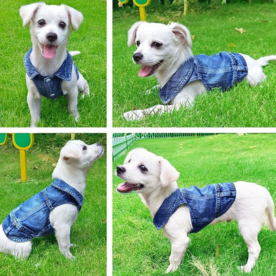 Dog Jean Jacket, Blue Denim Shirt Classic Lapel Vest Coat Costume Puppy T-Shirt, Comfort Tank Top Cool Apparel, Washed Pet Clothes for Dogs Boy Girl (Blue, Small)