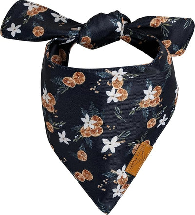 Remy+Roo Dog Bandanas - 2 Pack | Evergreen Christmas Dog Bandanas Set | Premium Durable Fabric | Patented Shape Bandanas for Dogs (Clementine, Large)