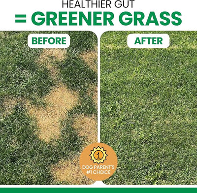Dog Urine Neutralizer for Lawn, 120 Soft Chews - Green Grass Saver - Eliminates Burns and Yellow Spots - Female and Male Dog Pee Grass Repair with Natural Ingredients